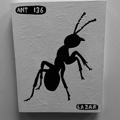 Ant 136