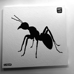 Ant 137