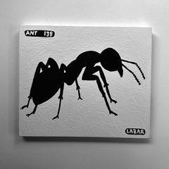 Ant 138