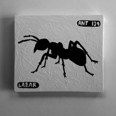 Ant 139