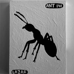 Ant 141