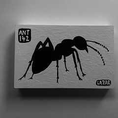 Ant 142