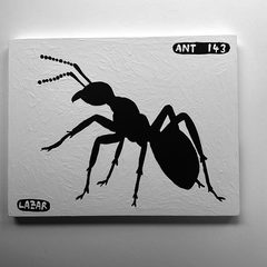Ant 143