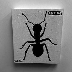 Ant 145