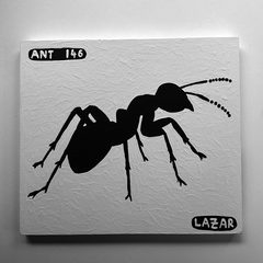 Ant 146