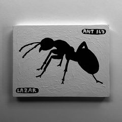 Ant 147