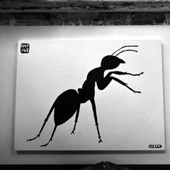 Ant 148