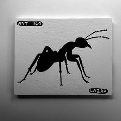 Ant 149