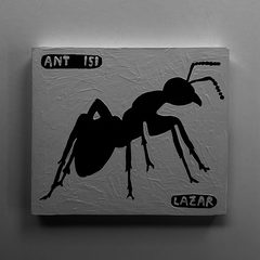 Ant 151