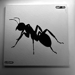 Ant 154