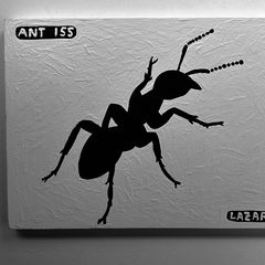 Ant 155