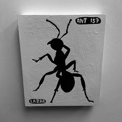 Ant 157