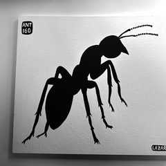 Ant 160