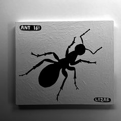 Ant 161