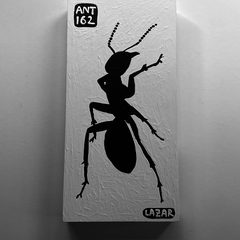 Ant 162