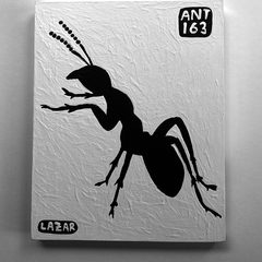 Ant 163