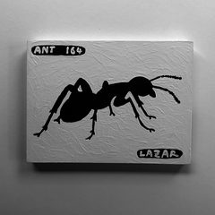 Ant 164