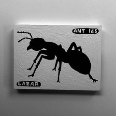 Ant 165