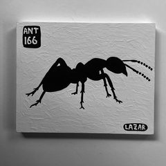 Ant 166