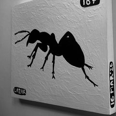 Ant 167