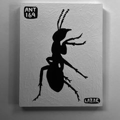 Ant 169
