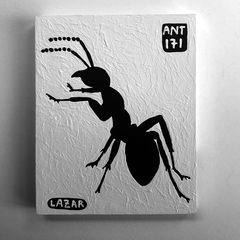 Ant 171