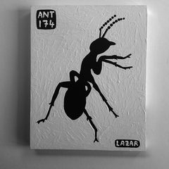 Ant 174