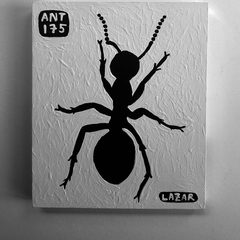 Ant 175