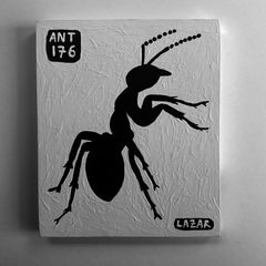 Ant 176