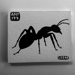 Ant 177