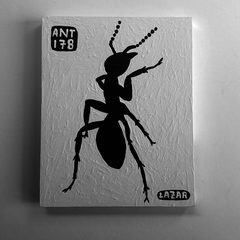 Ant 178