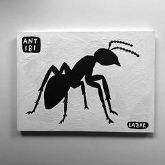 Ant 181