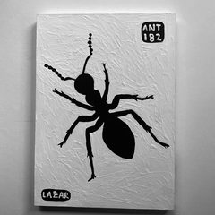 Ant 182