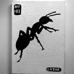 Ant 183