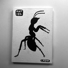 Ant 184