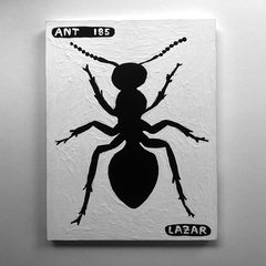 Ant 185