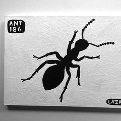 Ant 186