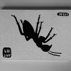 Ant 189