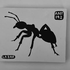 Ant 192