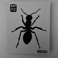 Ant 193