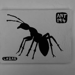 Ant 194