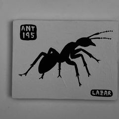 Ant 195