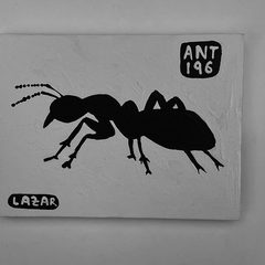 Ant 196