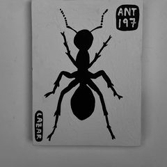 Ant 197