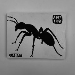 Ant 198