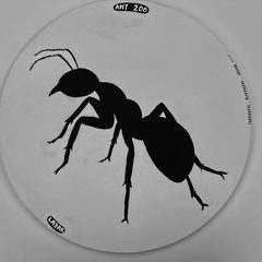 Ant 200
