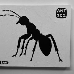Ant 202