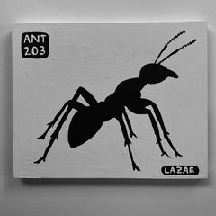 Ant 203