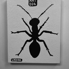 Ant 204