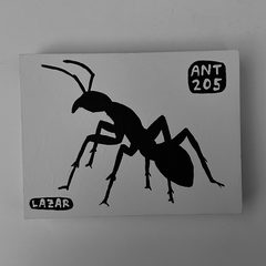 Ant 205